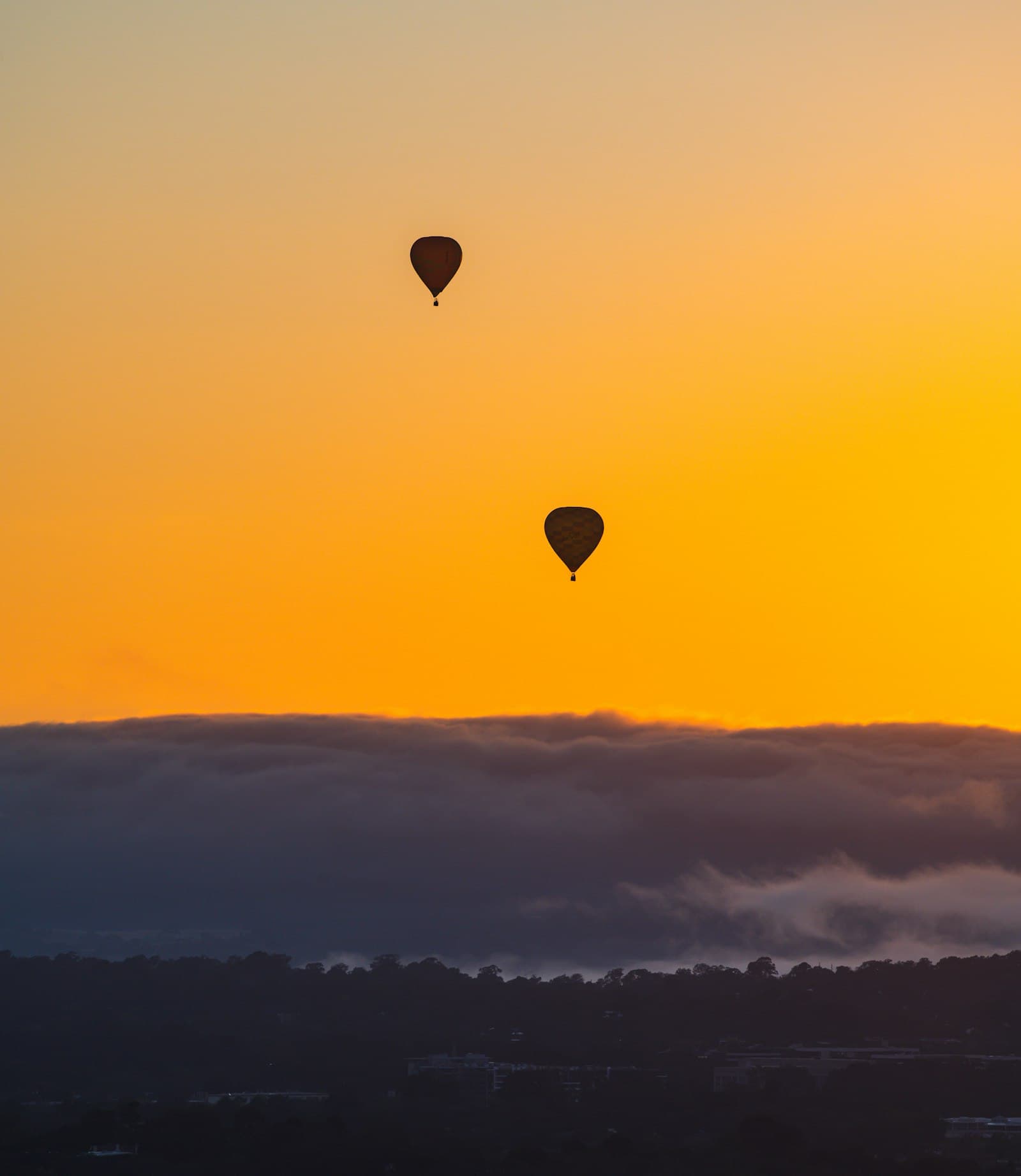 Hot air balloons rising into an orange dawn sky over Canberra